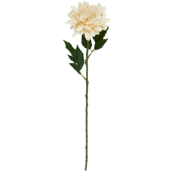 Dahliastilk krem