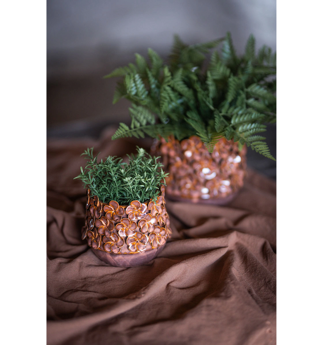 Potte med blomster